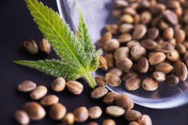 CBD for Faster Absorption