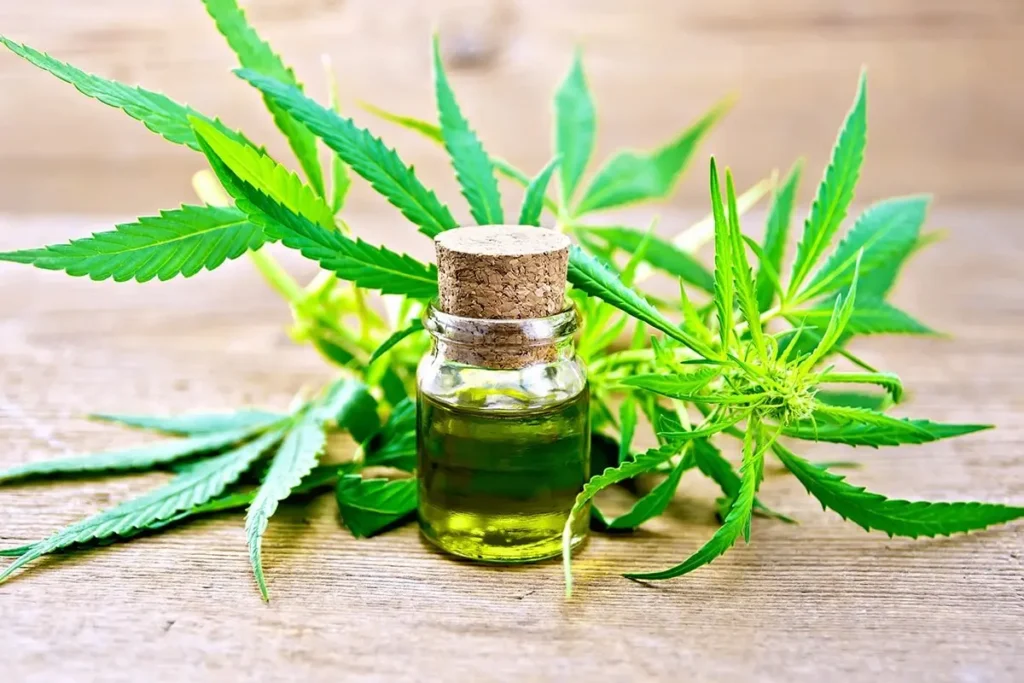 CBD for Stressful Lifestyles Natural Calm in Busy Times
